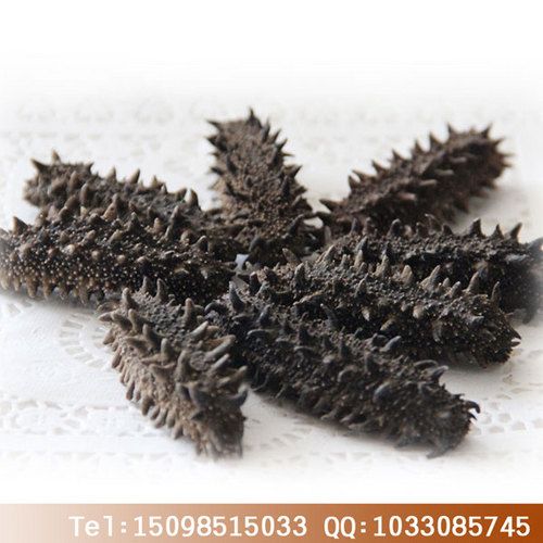 北海道淡干海參 海參批發(fā) 珍品堂海參廠家招商_干制水產品