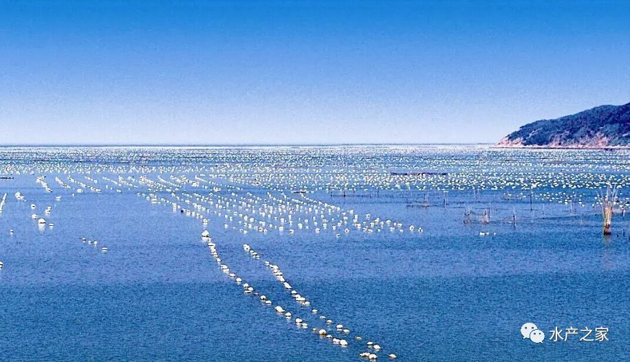 到 2030 年,我國(guó)或?qū)⒂?000萬t水產(chǎn)品的缺口需要通過發(fā)展水產(chǎn)養(yǎng)殖來彌補(bǔ)?