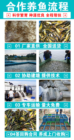 富洋水產(chǎn)養(yǎng)殖s
