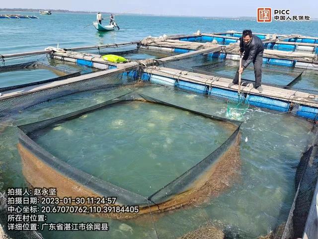 "海洋牧場(chǎng)"人歡魚(yú)躍,湛江水產(chǎn)向深藍(lán)挺進(jìn)!_養(yǎng)殖_網(wǎng)箱_深海