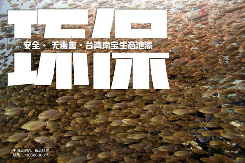 育苗池漆,養(yǎng)殖池漆在循環(huán)水工廠(chǎng)化水產(chǎn)養(yǎng)殖中的作用機(jī)理
