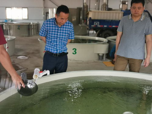 院士專家工作站 攜手 魚院士 ,打造水產(chǎn)種業(yè) 硅谷