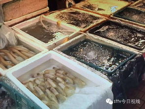 看到這份水產(chǎn)品檢測(cè)報(bào)告,小伙伴們都驚呆了