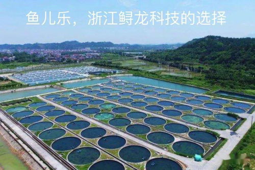 水產(chǎn)養(yǎng)殖業(yè)發(fā)展的4個階段你知道嗎
