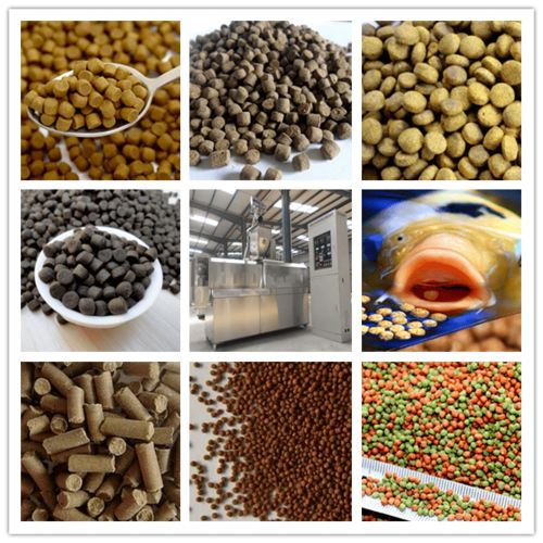 2021年中國水產(chǎn)飼料行業(yè)市場發(fā)展趨勢監(jiān)測 水產(chǎn)品養(yǎng)殖規(guī)模不斷擴大,未來水產(chǎn)飼料行業(yè)發(fā)展空間廣闊