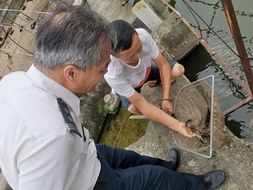 福建省廈門市海洋發(fā)展局二大隊(duì)開(kāi)展水產(chǎn)品質(zhì)量安全檢查