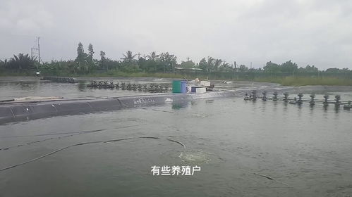 水產(chǎn)養(yǎng)殖中,水珠多,水渾濁,您真的知道如何去處理