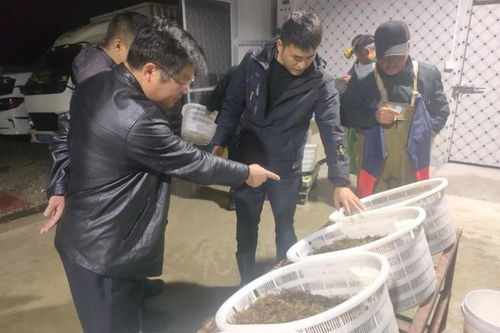 我市首家水產(chǎn)品交易市場投入運營