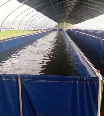 帆布鍍鋅板養(yǎng)殖池 結構穩(wěn)定 水產(chǎn)魚蝦養(yǎng)殖帆布池