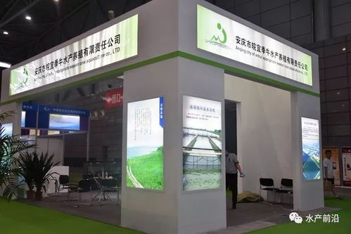 當前的市場適合養(yǎng)殖什么水產品 怎么養(yǎng) 價格如何 水產養(yǎng)殖業(yè)的大數據時代
