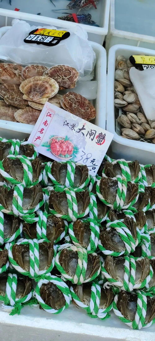 平靚正海鮮大量上市 廣州黃沙水產市場各類海鮮價格平穩(wěn)貨量充足