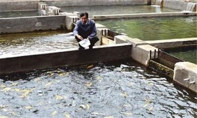 水產養(yǎng)殖降低飼料成本的幾個方法
