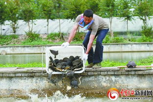 潢川甲魚(yú) 引擎農(nóng)民脫貧