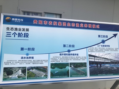 貴州現(xiàn)代漁業(yè)集團(tuán):數(shù)字賦能智慧生態(tài)漁業(yè)發(fā)展