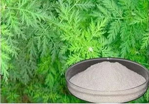 陰雨天氣,水產(chǎn)養(yǎng)殖寄生蟲問題的危害較大,殺蟲藥一定要慎用