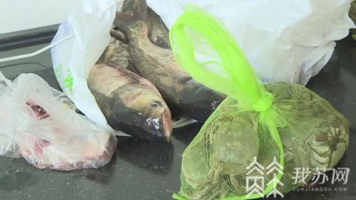 江蘇省 雙節(jié)臨近 水產(chǎn)品源頭檢測(cè)保障舌尖上安全