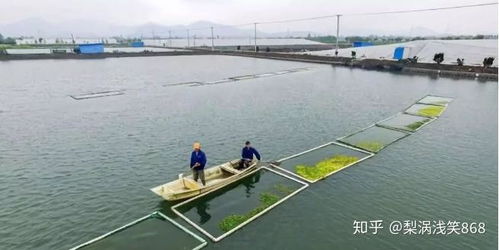 水產(chǎn)養(yǎng)殖 下半年該怎么養(yǎng) 病發(fā)厲害 雨水多 喂料難