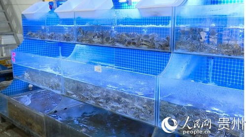 新雪域水產(chǎn)品廣場 打造 節(jié)水型市場 助力節(jié)水型城市創(chuàng)建