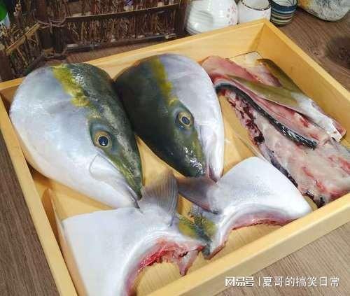 日本核污排海,臺(tái)灣人卻歡呼雀躍