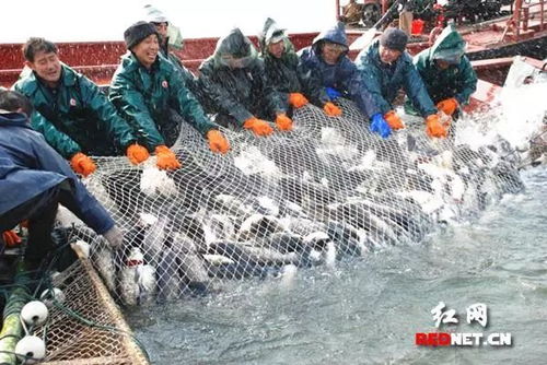 常德市領(lǐng)導(dǎo)相聚深圳當(dāng)農(nóng)業(yè)品牌推銷員 賣了近百億