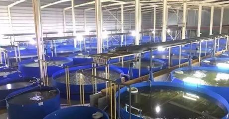 自豪了!德清的漁業(yè)養(yǎng)殖尾水治理工作又吸引了國(guó)家級(jí)專家們前來(lái)…_財(cái)經(jīng)_網(wǎng)